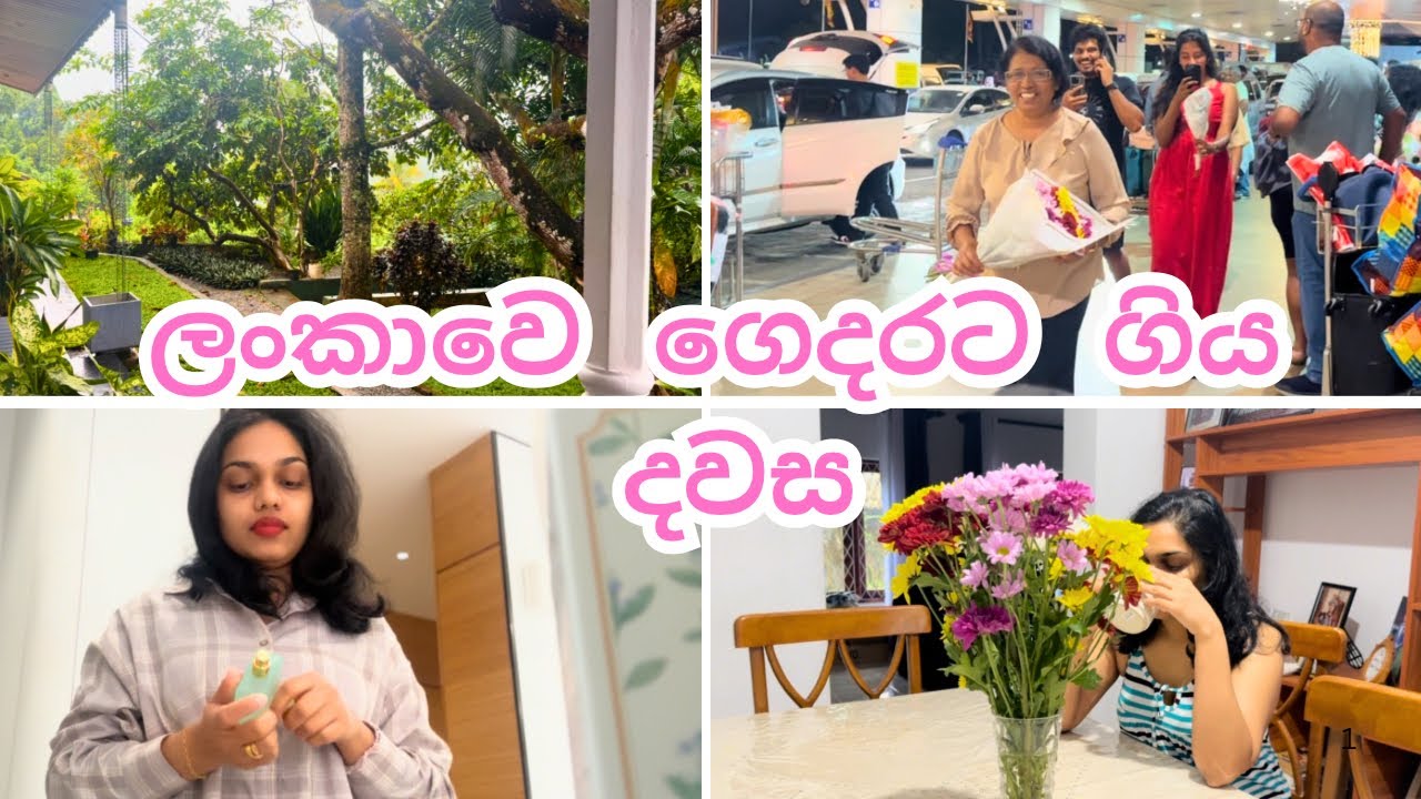 Husband වත් දාලා තනියම එකපාරම ශ්‍රී ලංකාවට යන්න හේතුව 🇯🇵🇱🇰 | ජපානේ ඉඳන් ලංකාවෙ ගෙදරට ගිය විදිය 🏠💐 