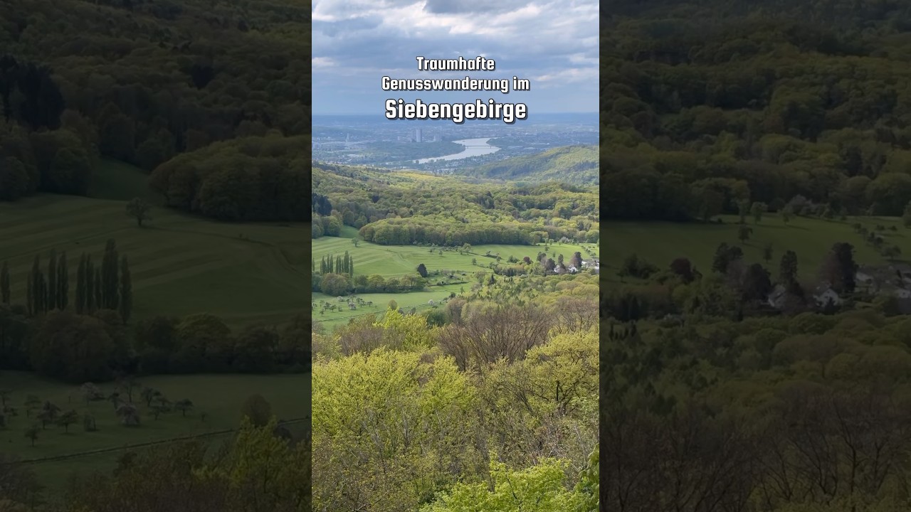 Wandertipp Siebengebirge 😊 #springonshorts #wandern #siebengebirge #nrw #wandernf&uuml;rgenie&szlig;er