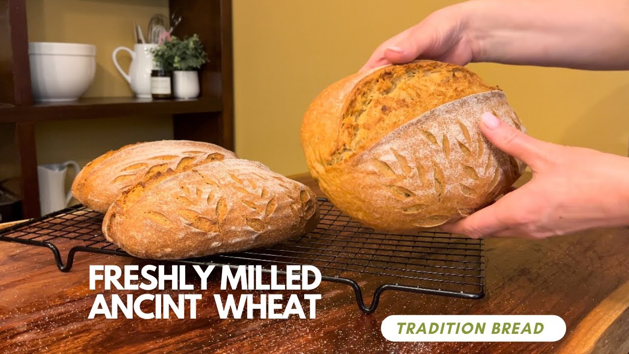 experimenting with all freshly milled sourdough/ kamut einkorn spelt