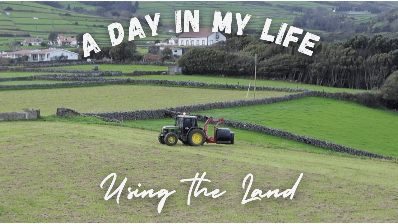 Moving to Portugal - Using the Land