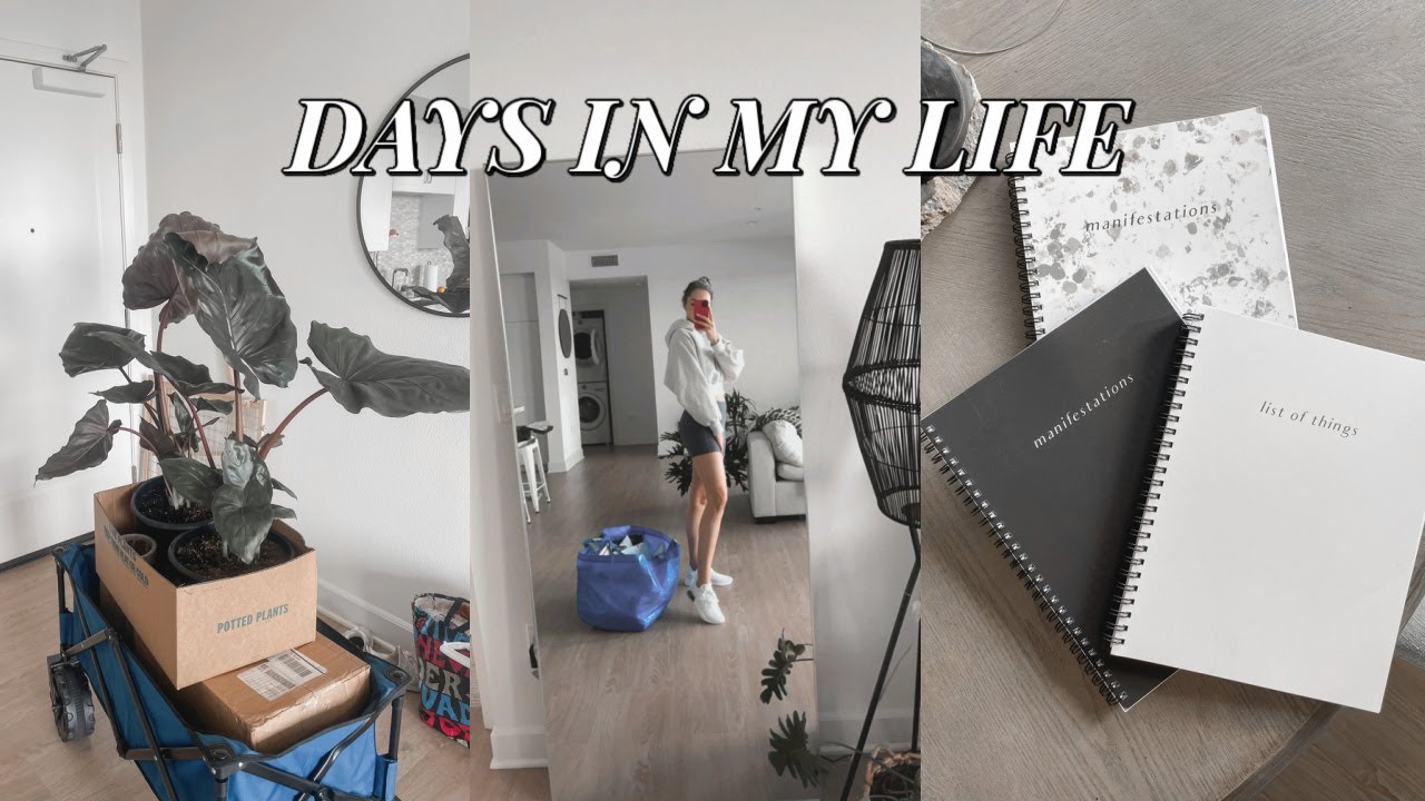 SUNDAY VLOG: notebooks are BACK, bts of the launch, decorating my office, and plant bb updates