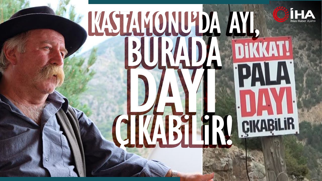 Böyle Uyarı Tabelası Görülmedi; Dikkat ‘Pala Dayı’ Çıkabilir