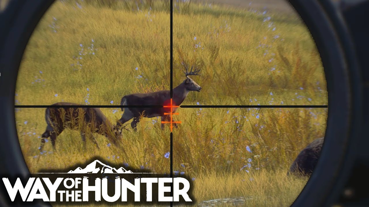 WAY OF THE HUNTER : Tir Uniquement Dans Le Coeur !!   | PC