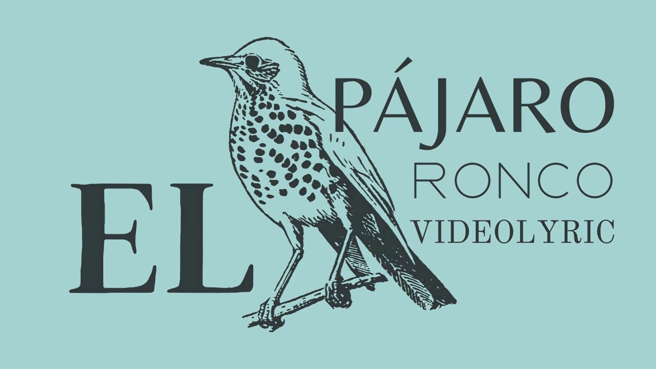 Pájaro Ronco [Farruca - Jazz - Afrikan] TENDERETE