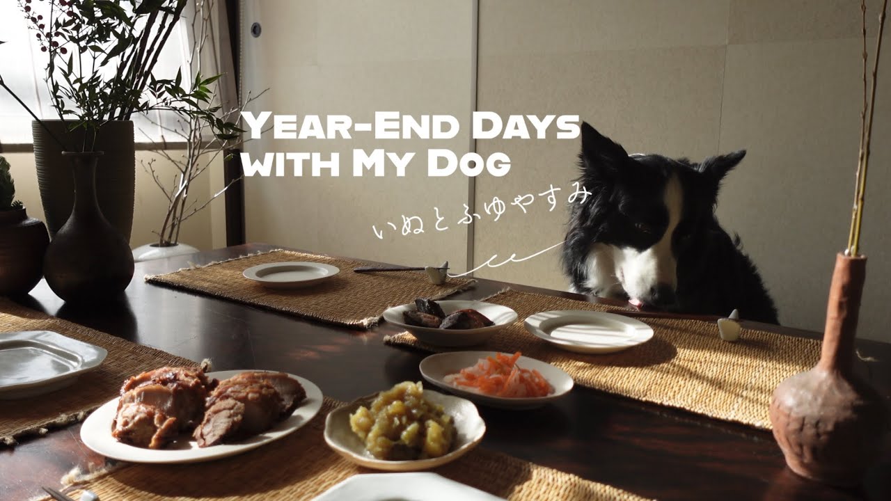 ボーダーコリーと過ごす、いつもの冬休み｜Our Usual Winter Break with My Dog