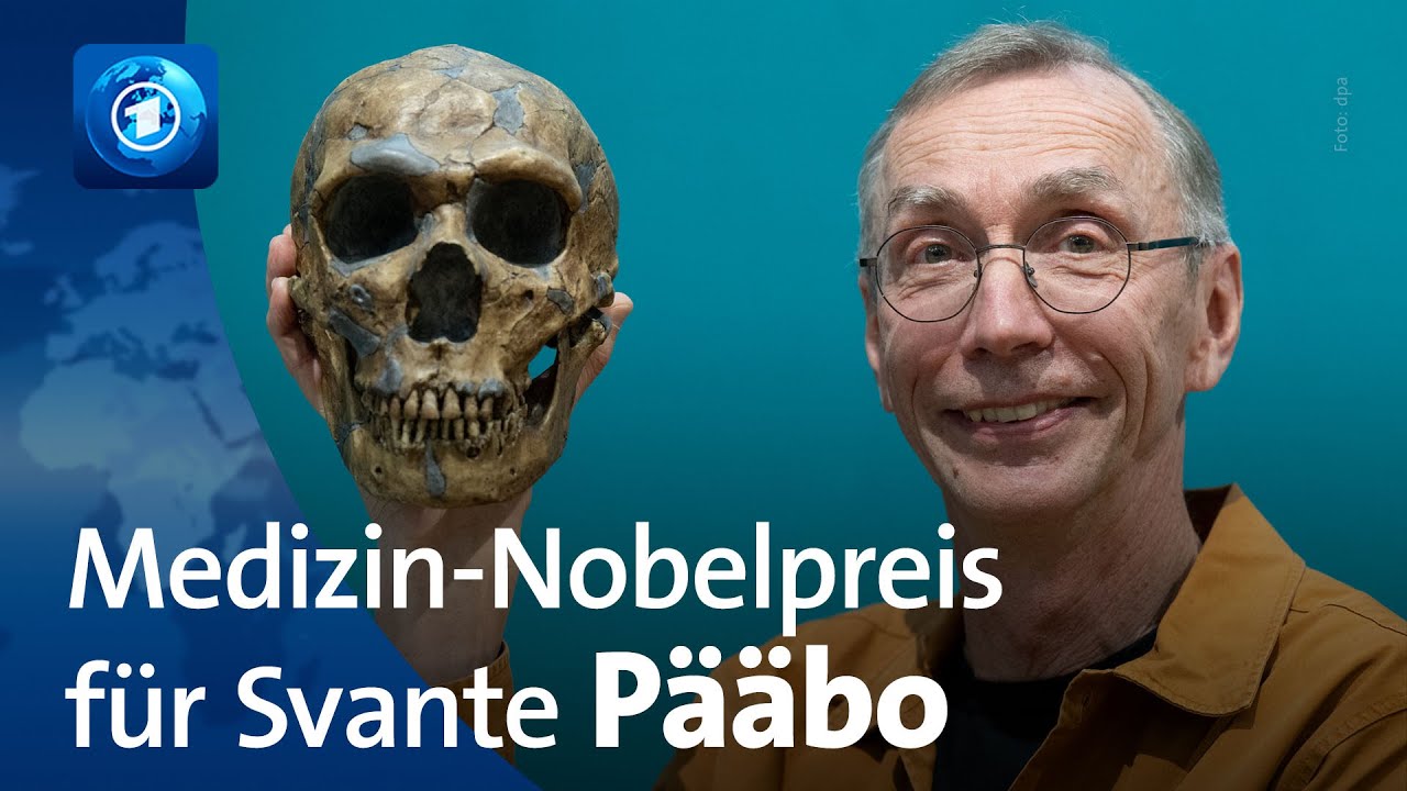 Nobelpreis für Pääbo: Wie das Neandertaler-Genom entschlüsselt wurde