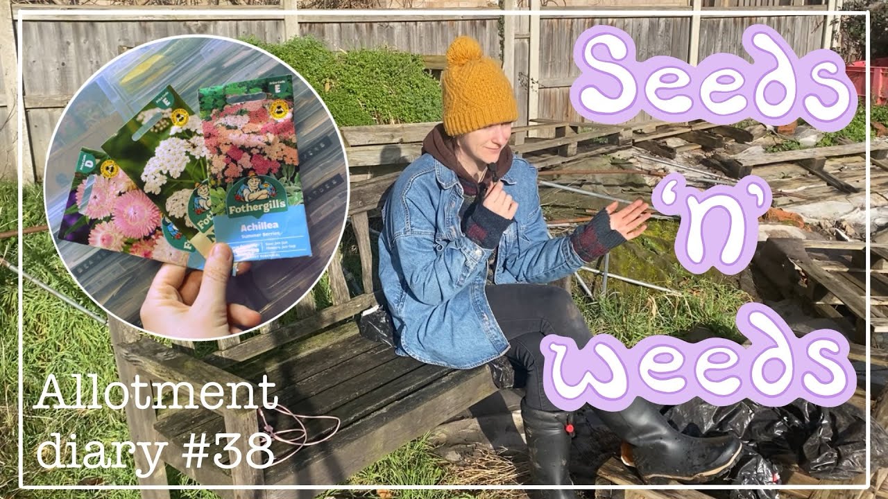 Посев первых семян + освоение дикой части участка | 🌸🌱 Дневник садовода 38🌱🌸
