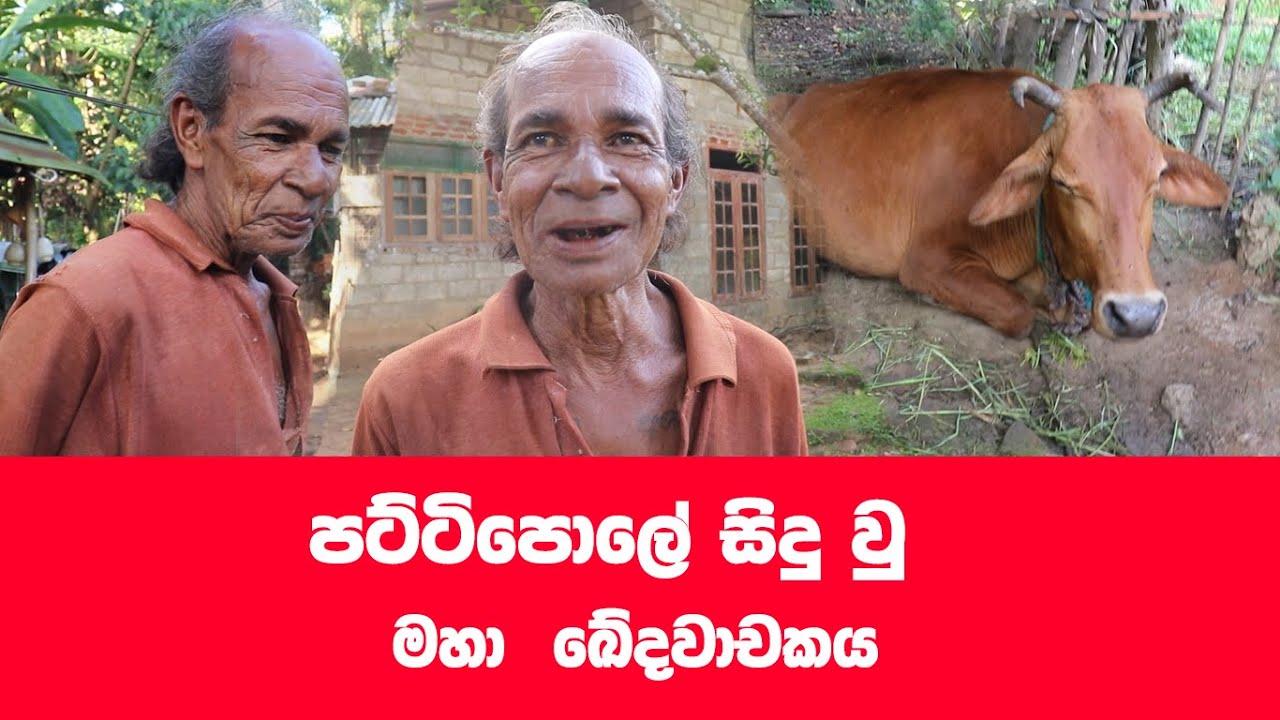 ‍බලන්න ලෝකය හැටි