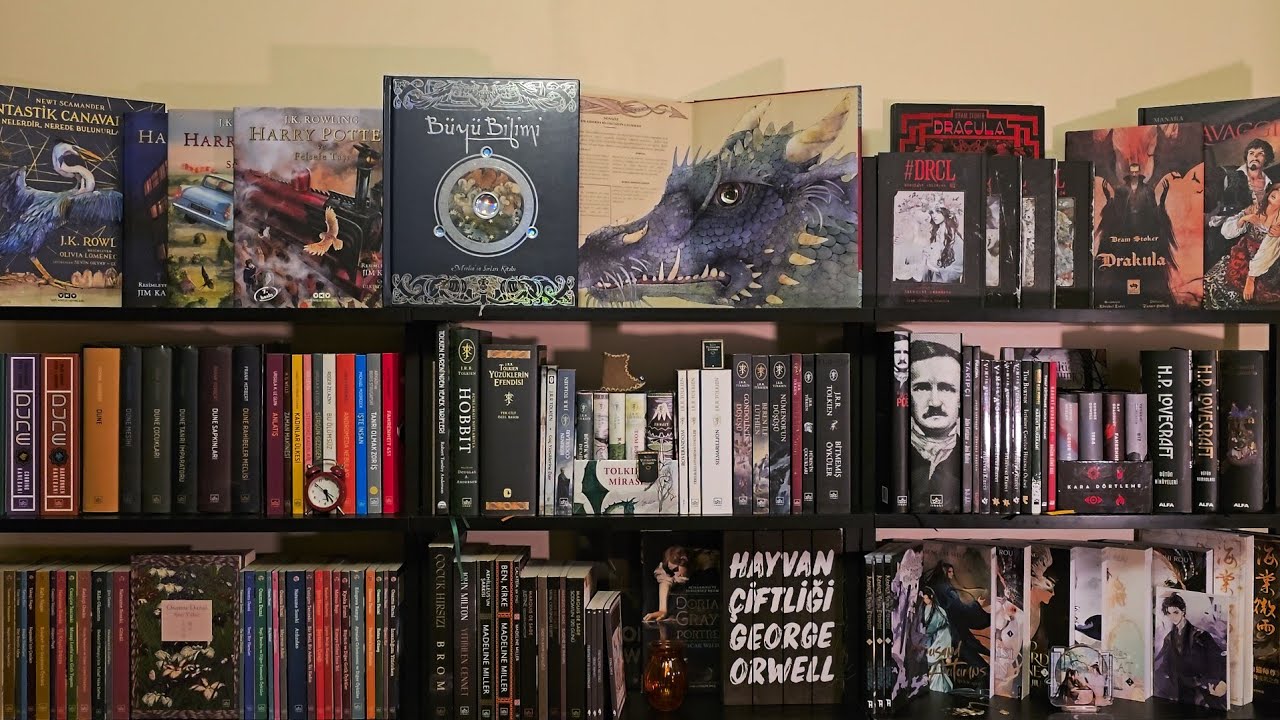 Kitaplık Turu Bölüm:1 Ejderhaların Saklandığı Kütüphanem/ Library Tour