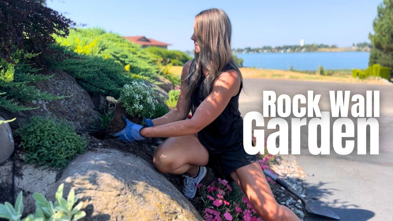 The Rock Wall Garden | Planting & Maintenance 🌱 💦