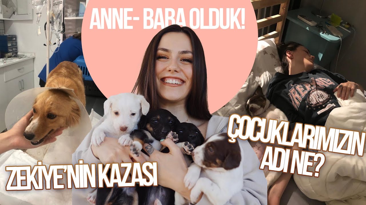 Anne- Baba Olduk! | Zekiye’nin Kazası | Çocuklarımızın adı ne?