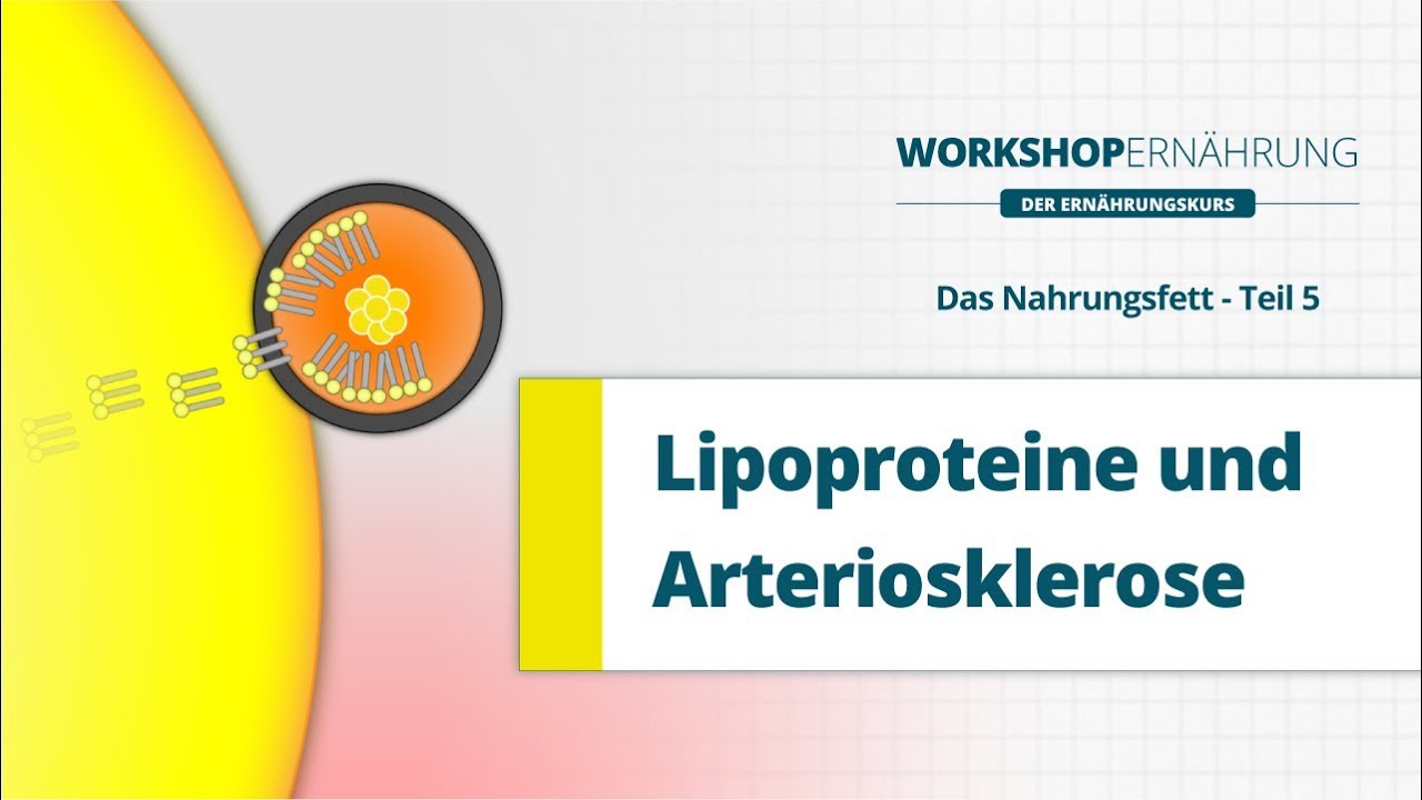 FETT (5/6): Die Lipoproteine (LDL, HDL, VLDL) | Workshop Ernährung