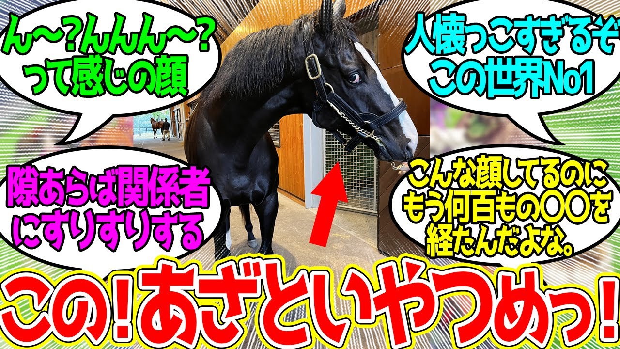 イクイノックス ← 引退してから可愛いところしか見せない馬に対するみんなの反応！【競馬 の反応集】