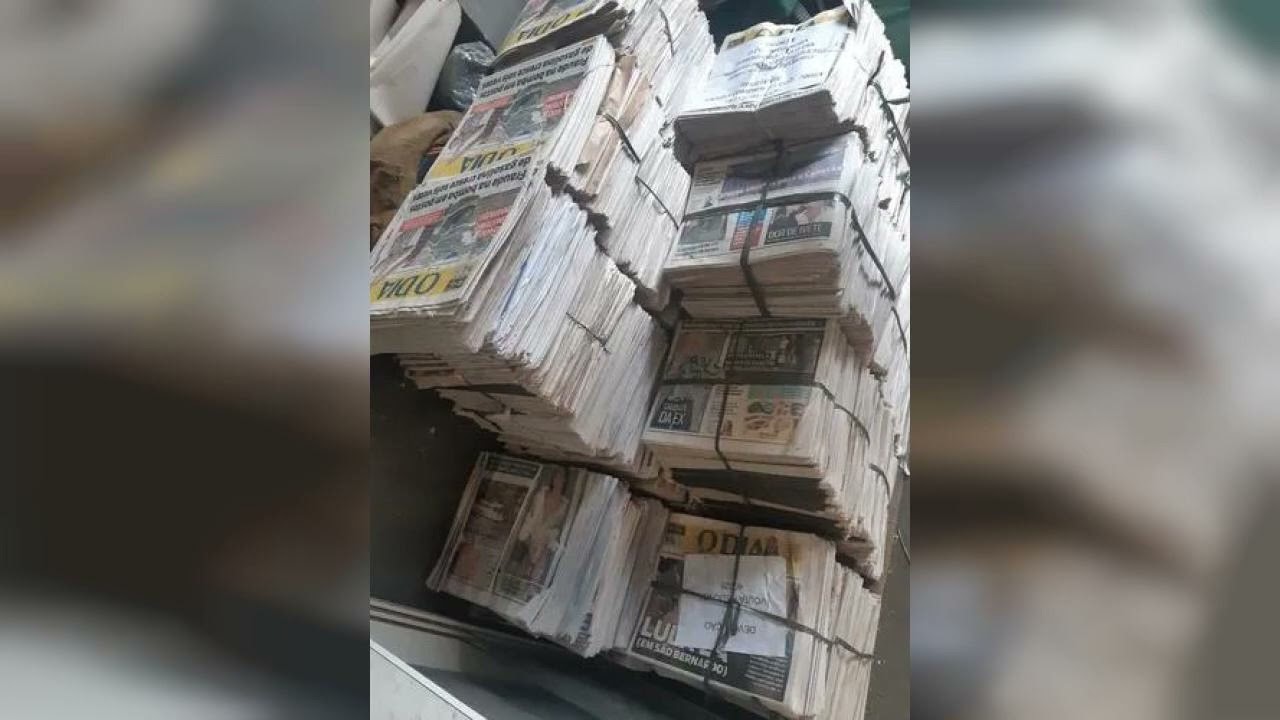 Review: Jornal Pet 8kg 800 Folhas Higiênico Para Cachorro