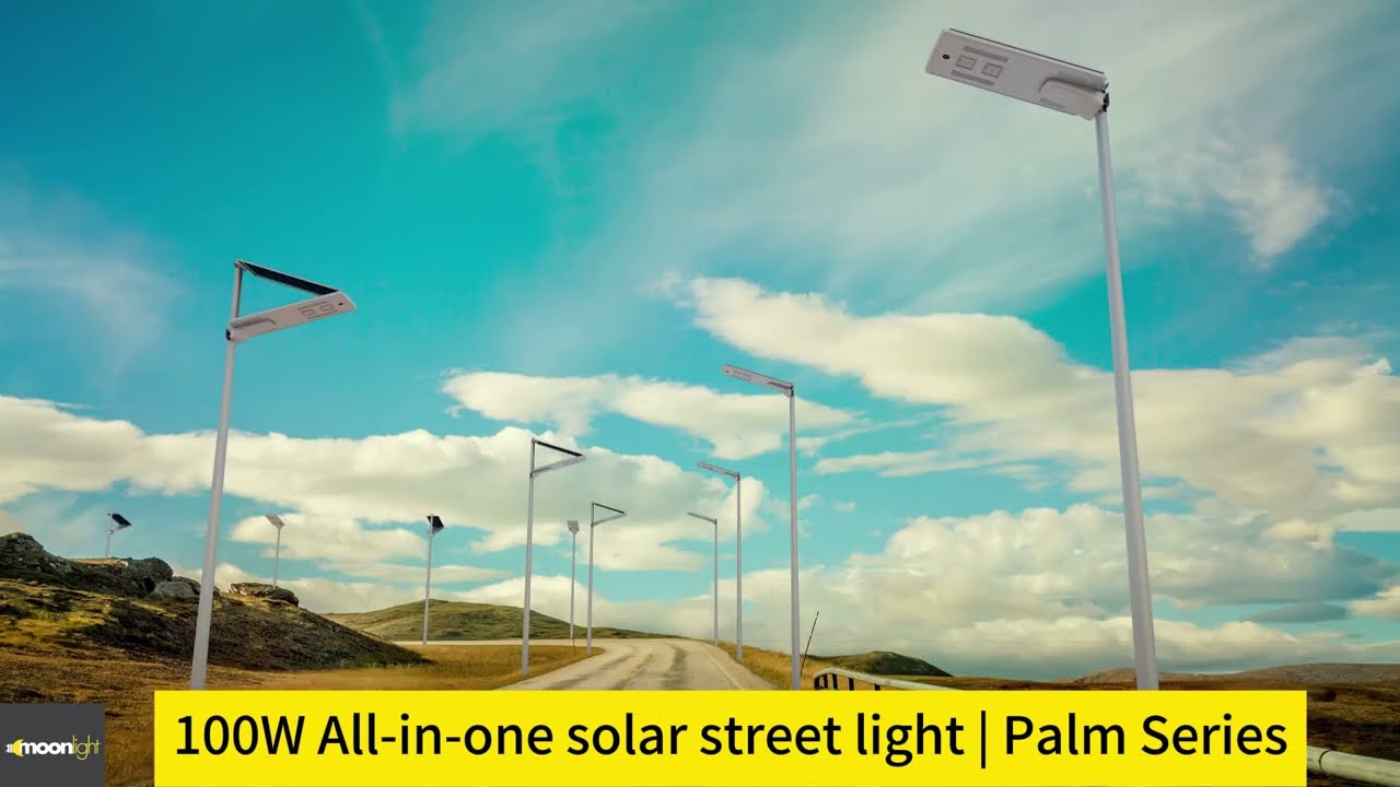 Palm Series| 100W Integrated Solar Street Light, 100W All-in-One Solar Street Light Project, Factory