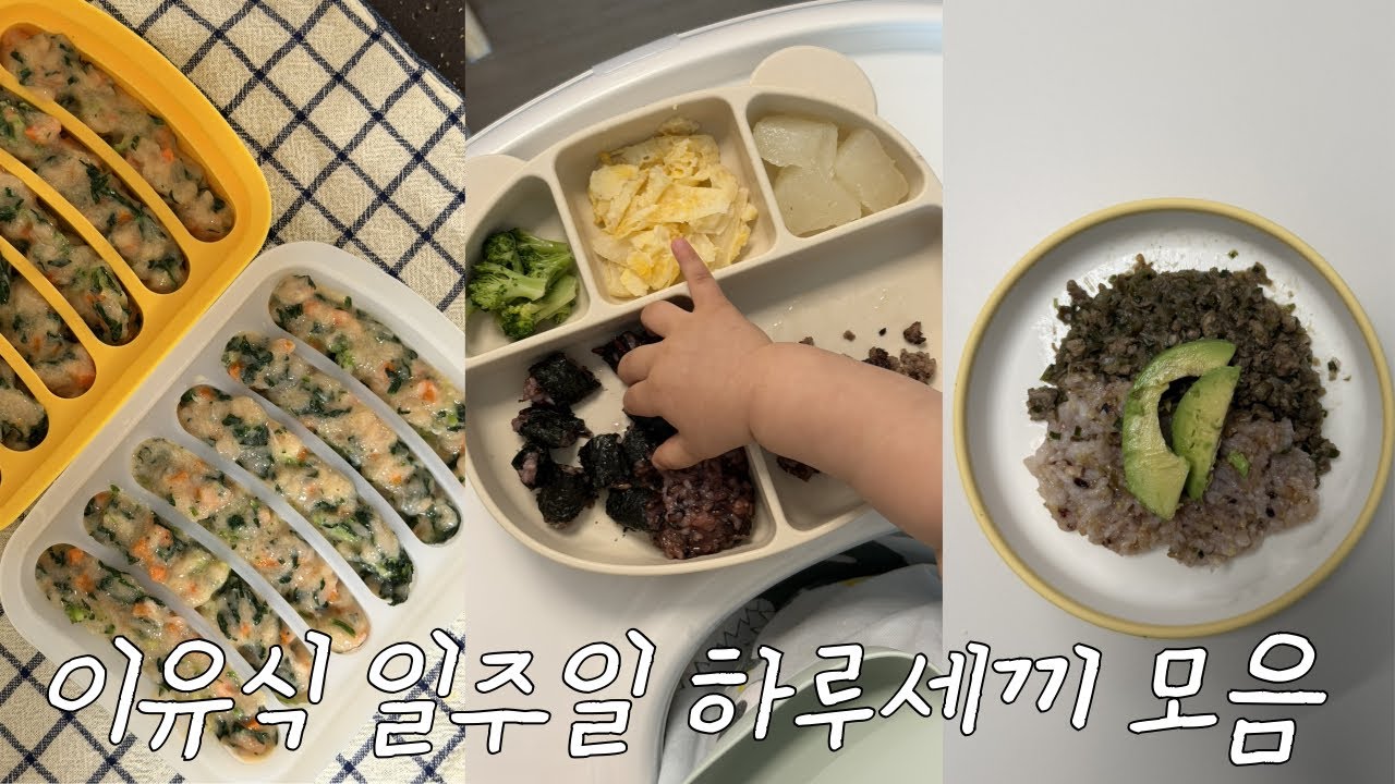식판 채우기에 재미들린 엄마의 하루세끼 이유식 1주일 모음🔖 무염이유식 만들기🧑🏻‍🍳