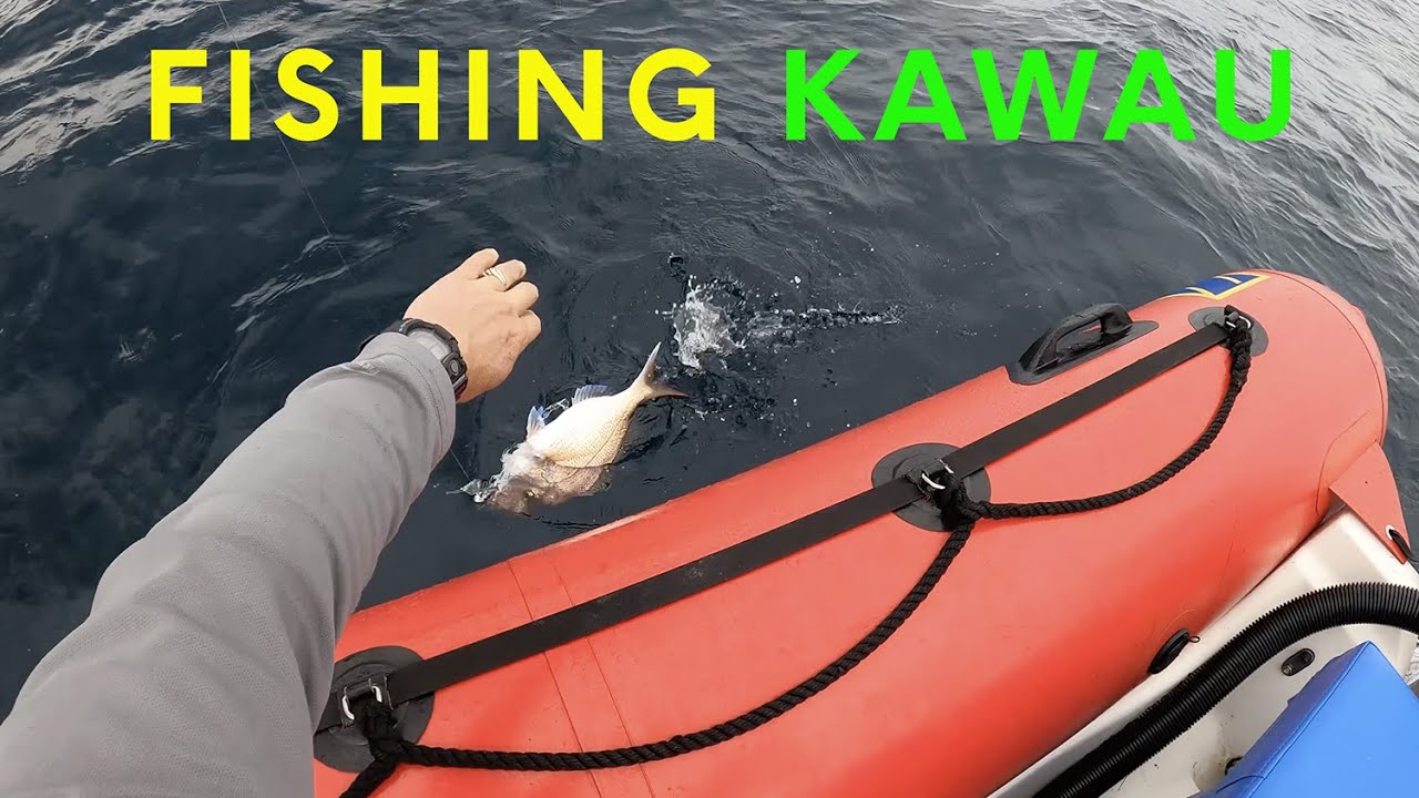Fishing  Kawau Island for snapper and kingfish