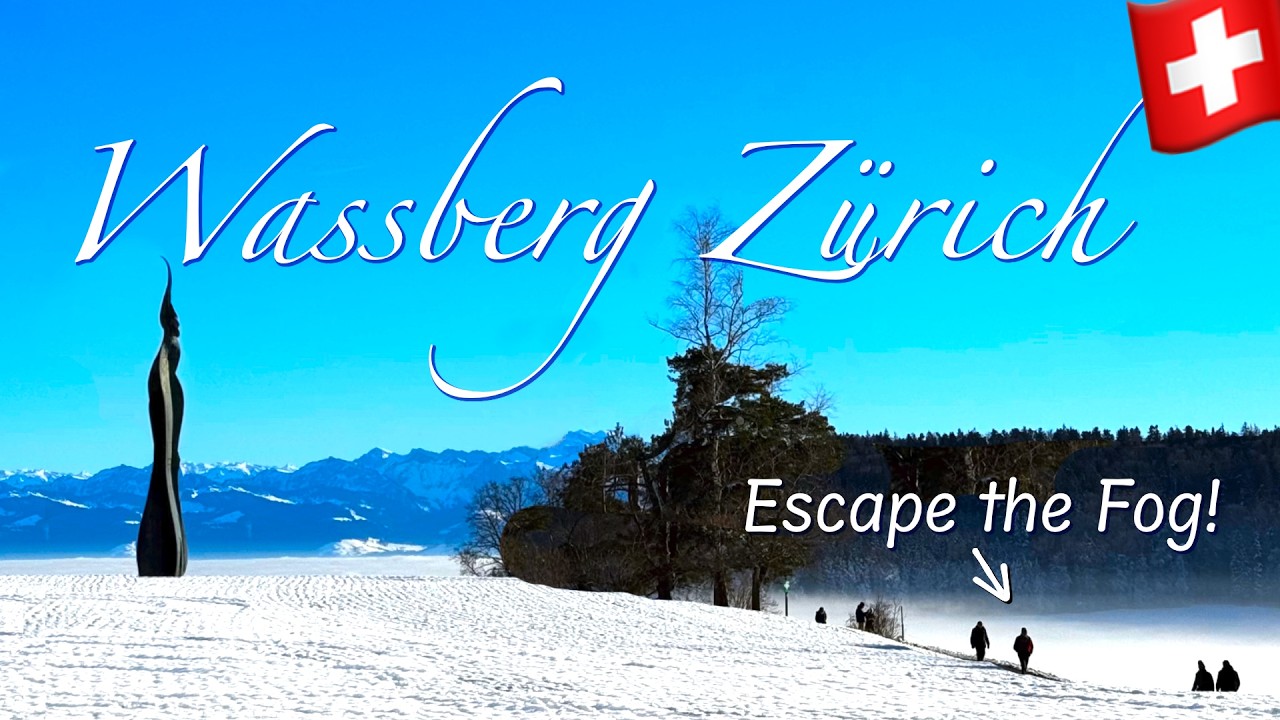 Wassberg Zurich Forch - Escape the fog, see the Swiss Alps and discover the Frozen Fart [4k 60fps]