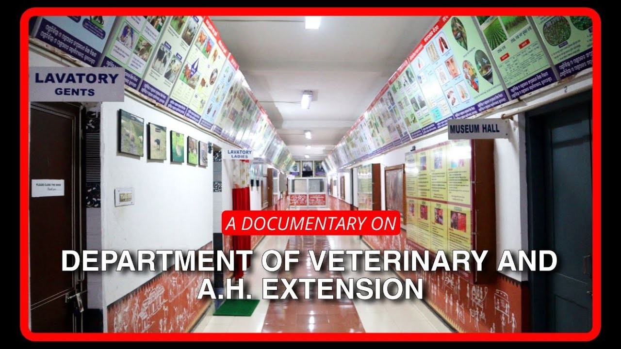 A Documentary on Department of Veterinary and Animal Husbandry Extension | Odisha Veterinary College