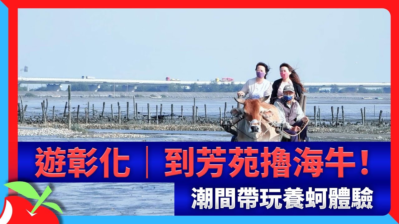 遊彰化｜到芳苑擼海牛！潮間帶玩養蚵體驗 | 台灣新聞 Taiwan 蘋果新聞網