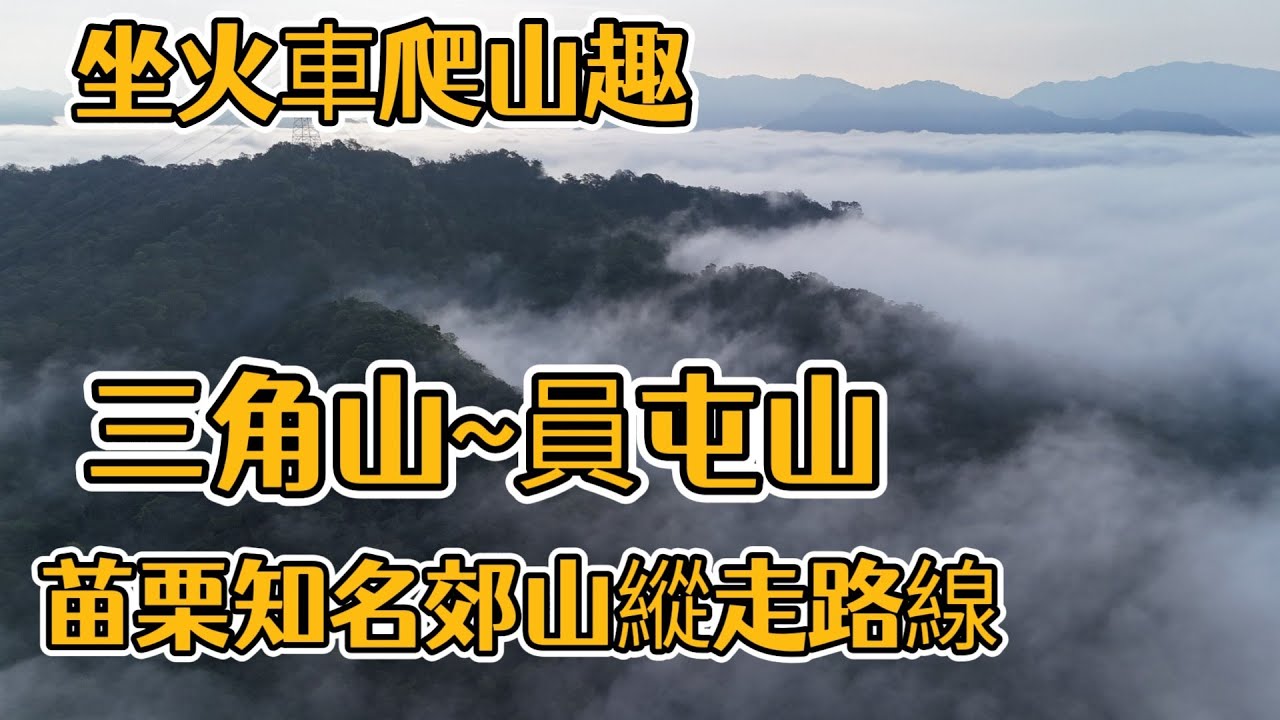 苗栗三義 | 坐火車輕鬆爬 | 苗栗知名的郊山七連峰縱走路線 | 三角山 ~員屯山 |  適合秋冬季節行走| 銅鑼美麗的炮仗花 | 韓鄉村牛肉麵