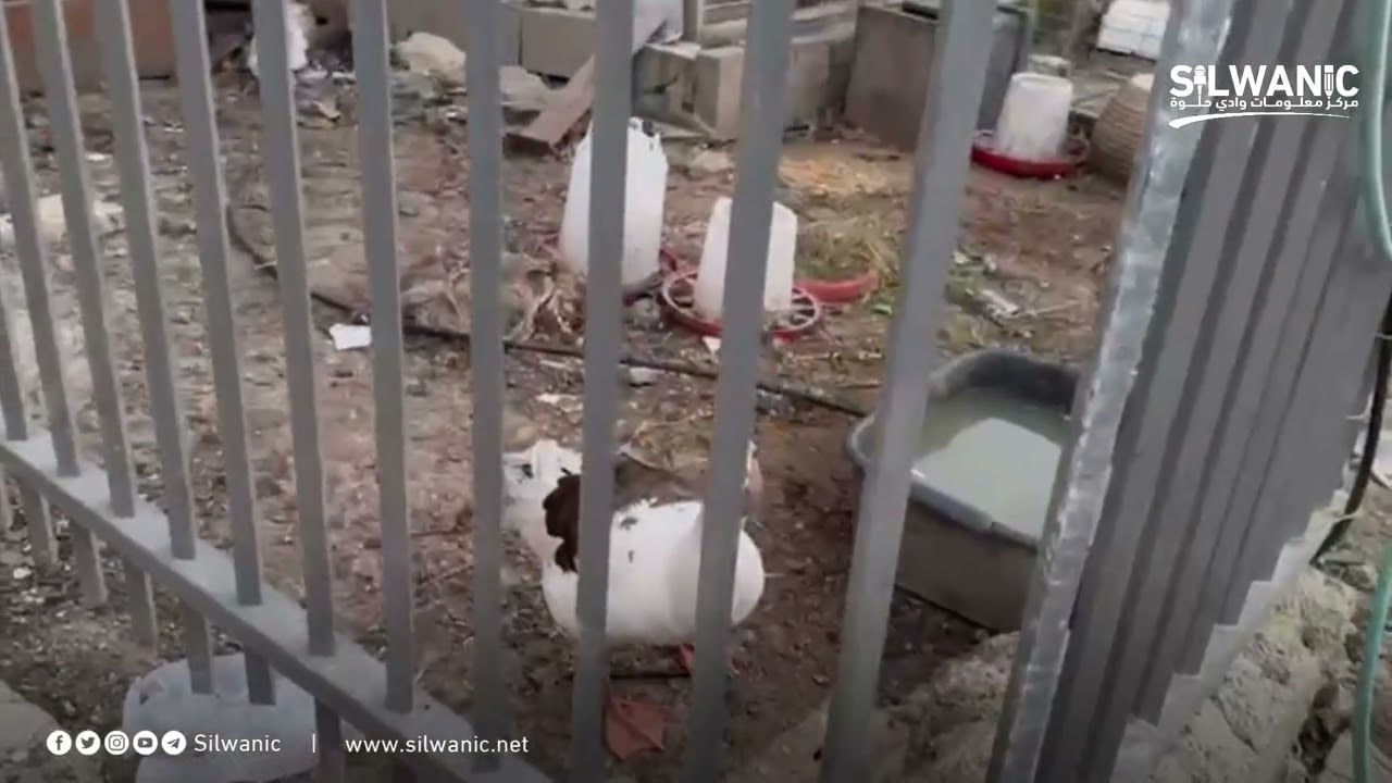 الناشط فخري ابو دياب يتحدث عن اقتحام ساحة منزله تمهيداً لتنفيذ عمليات هدم 