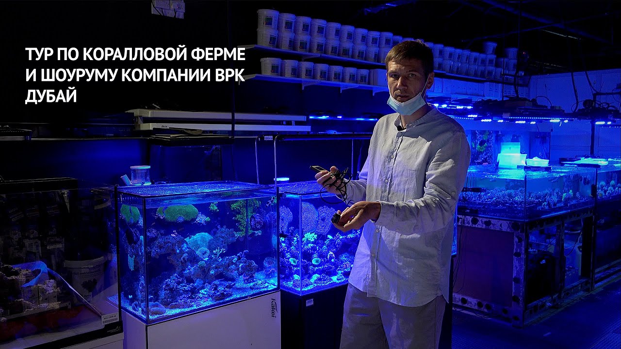 Дубай  Экскурсия по коралловой ферме и шоу руму BPK