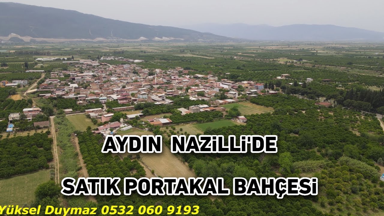HAYALİNİZDE'Kİ BAHÇE ŞİMDİ SATILIK AYDIN NAZİLLİ'DE 120 ADET PORTAKAL TOPLAM 125 AĞAÇ BAKMADAN GEÇME