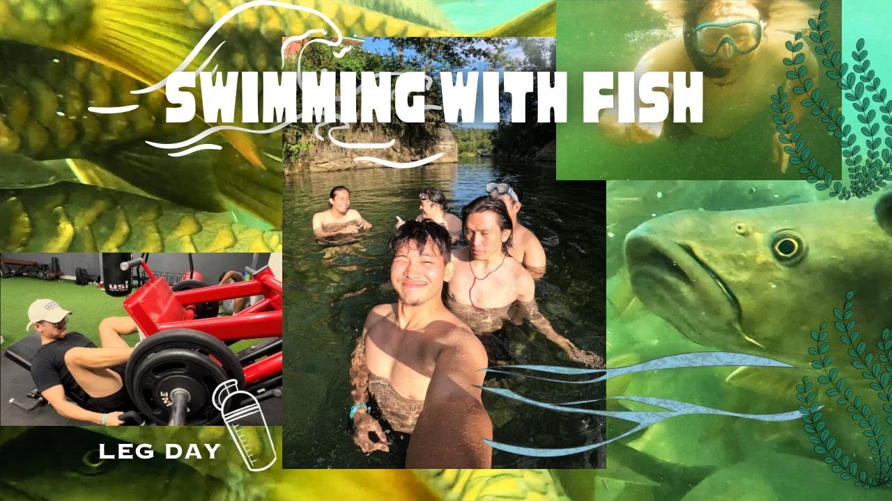 Come Swimming With The Fish and I 🐠 || Leg Day || Tibetan Vlogger || Bir 🏔️