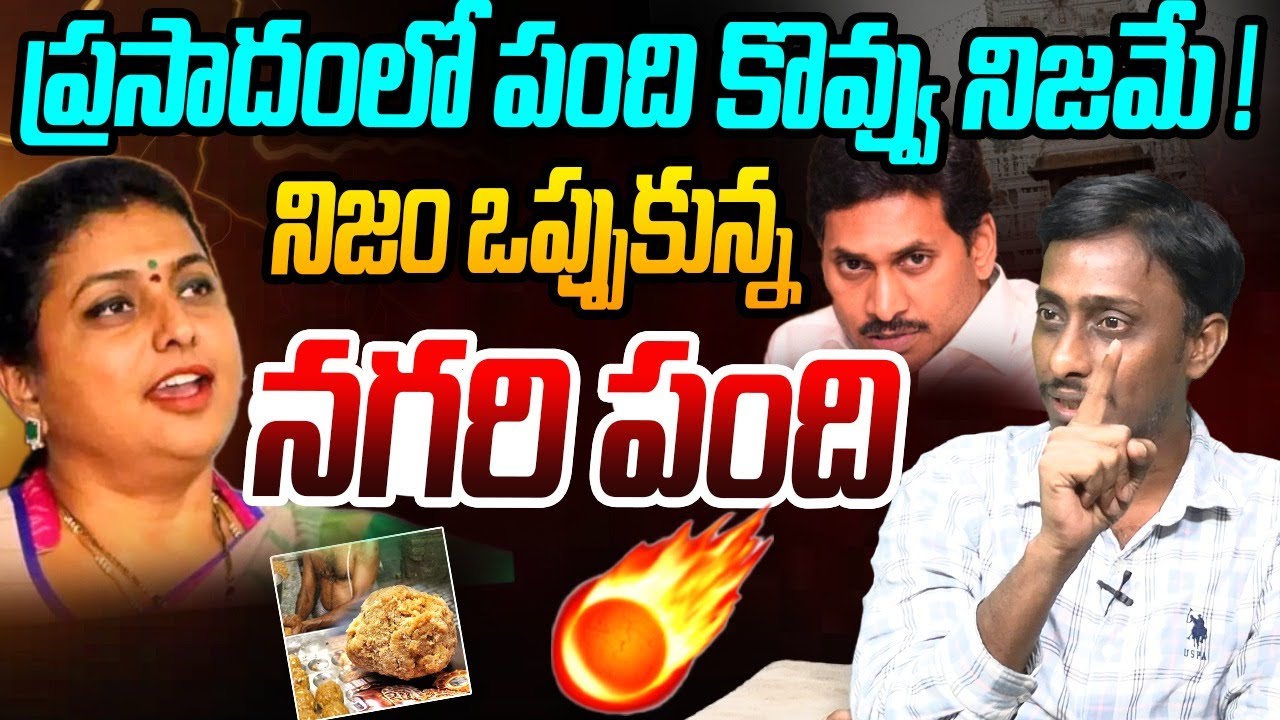 నిజం ఒప్పుకున్న నగరి పంది | Common Man Kiran Fires on RK Roja | Tirumala Laddu | YS Jagan | YCP