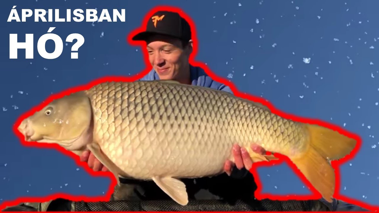 ÖREG TŐPONTYOK a szösztengerből🌳🌨 (The FishAIRMan 3. rész)