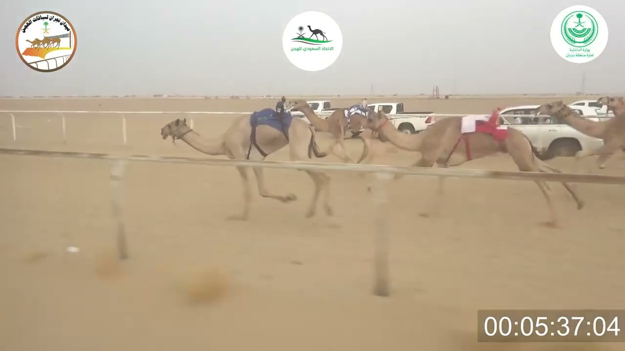 ٨/ قعدان جذاع / ٥٠٠٠م / نهاب / عبد الله بن مناحي الكربي
