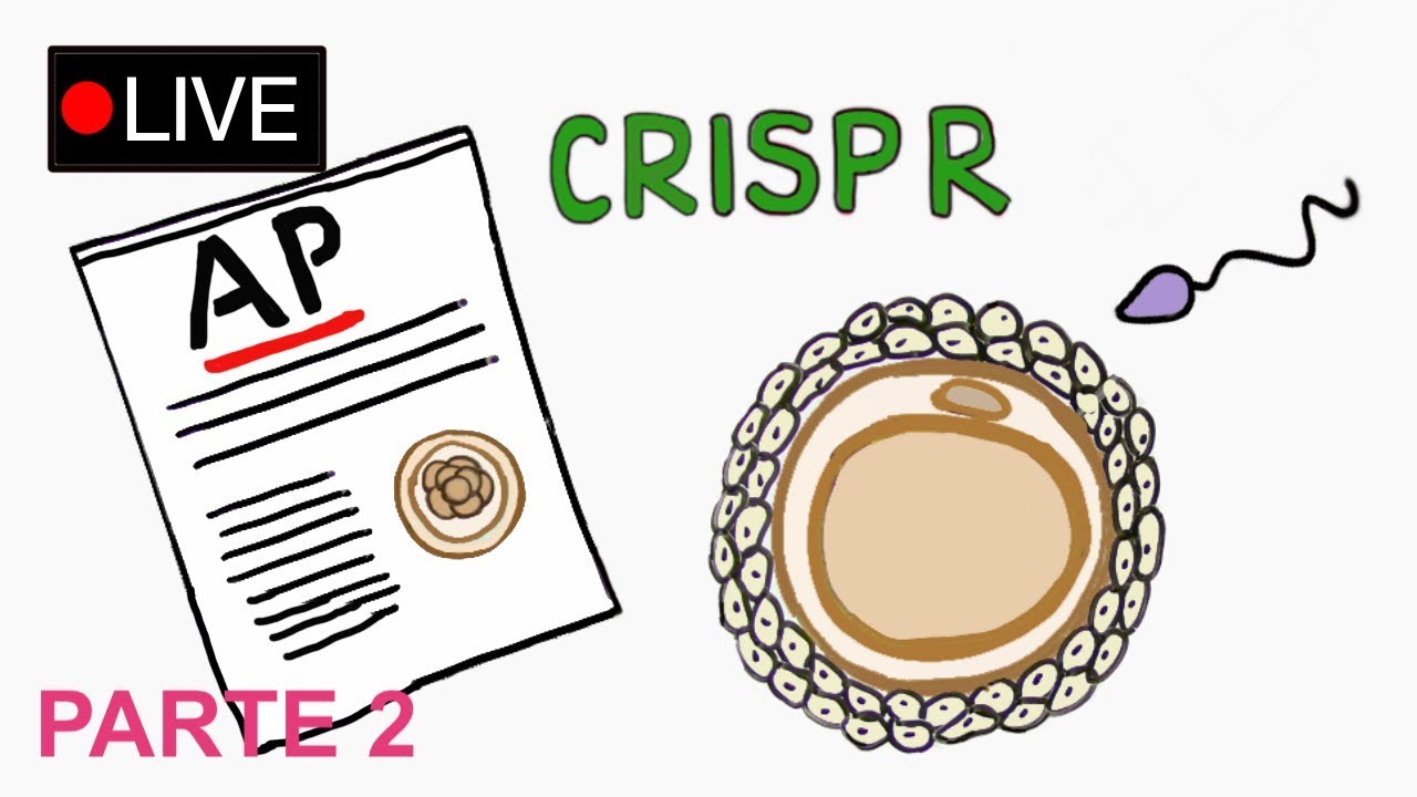 Bebês modificados com CRISPR Parte 2