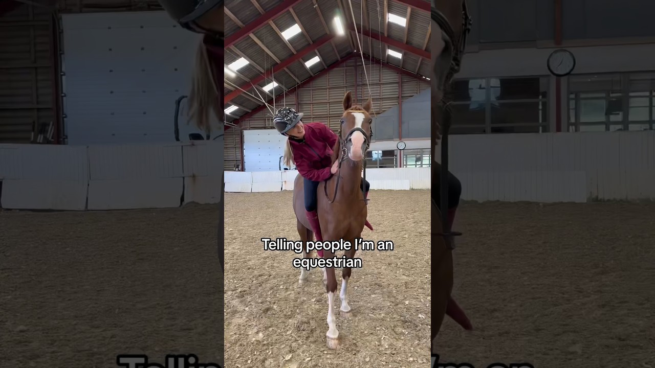 It&rsquo;s a hard life 💕😂 #equestrian #horse #pony #horses #rider #horseriding #pferde #cheval #shorts
