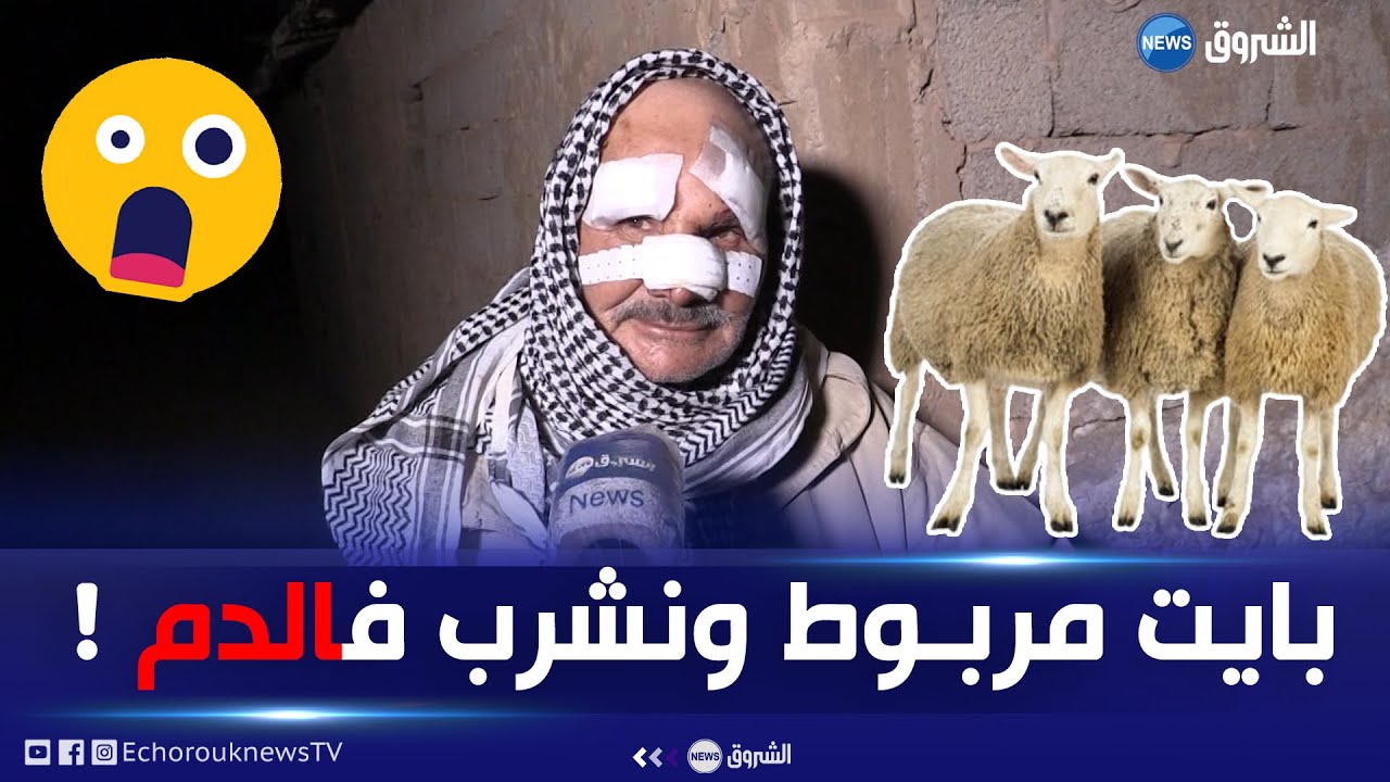 صادم جدا.. عصابة تعتـ.ـدي على موال وتكبله وتسرق 42 رأسا من الغنم بعين الدفلى "كتفوني وسحبوني