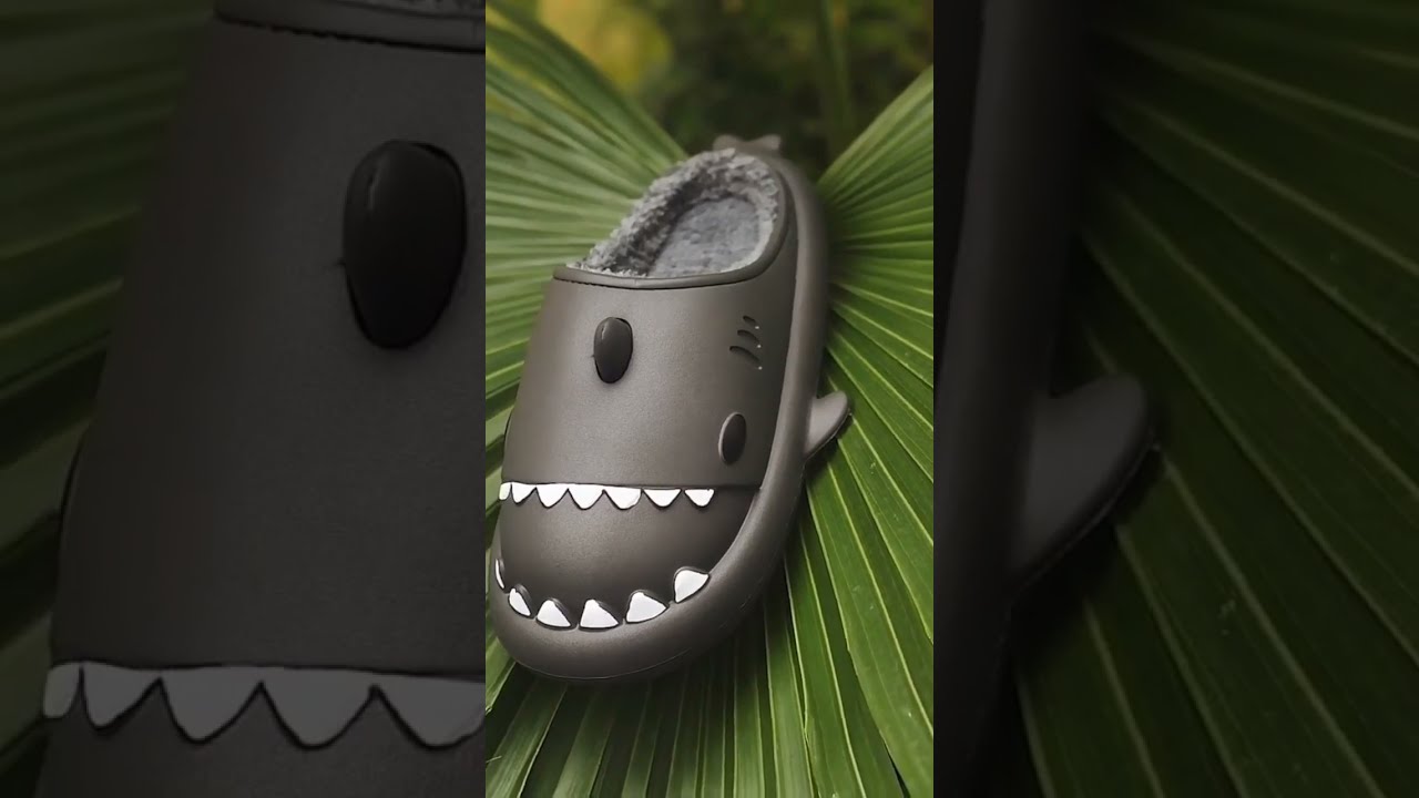 Shark in Trend He and She 2023 | GIFT Christmas Shark Slides