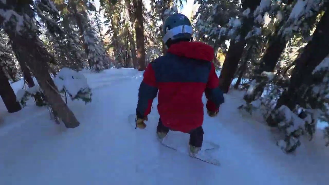 Mammoth Tree Run Pow Day