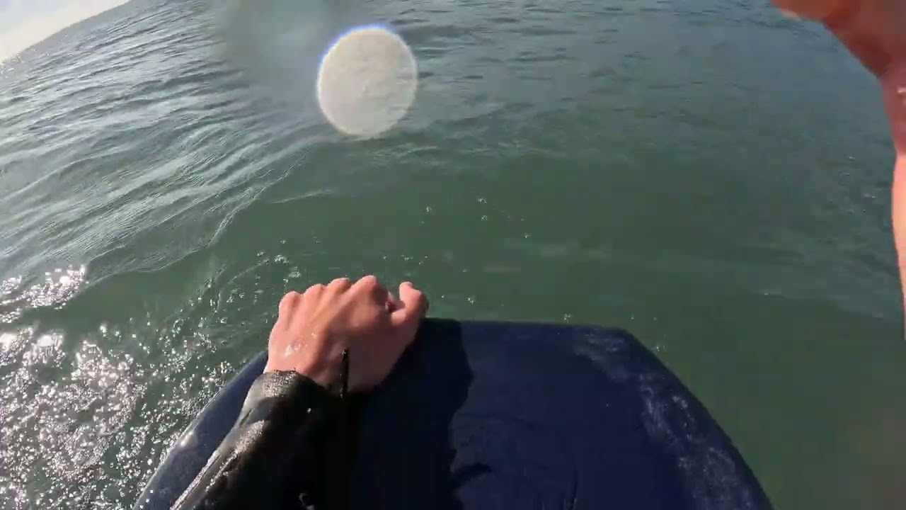 Bodyboarding 4-6 Foot Firing Waves At T Street | February 7th, 2026 |