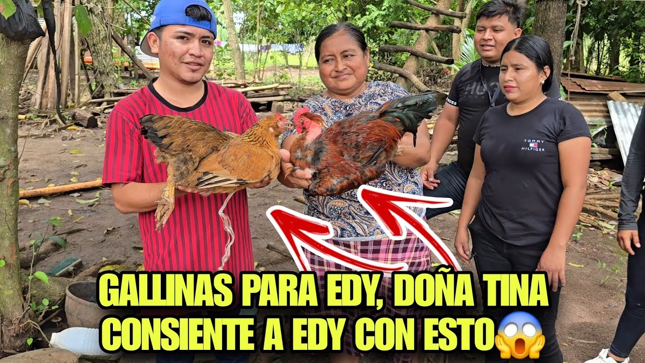‼️Gallina Criolla Pal Jefe‼️ Doña Tina Le Llevara Estas Dos Grandes Gallinas A Edy, Vean Porque😱