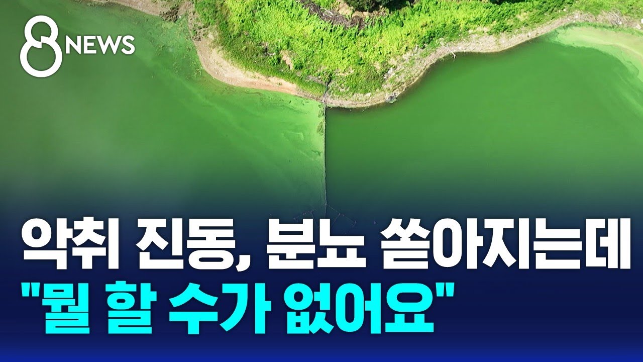 악취 진동, 분뇨 밀려드는데…녹조 뒤덮인 대청호, 답 없는 상황 / SBS 8뉴스