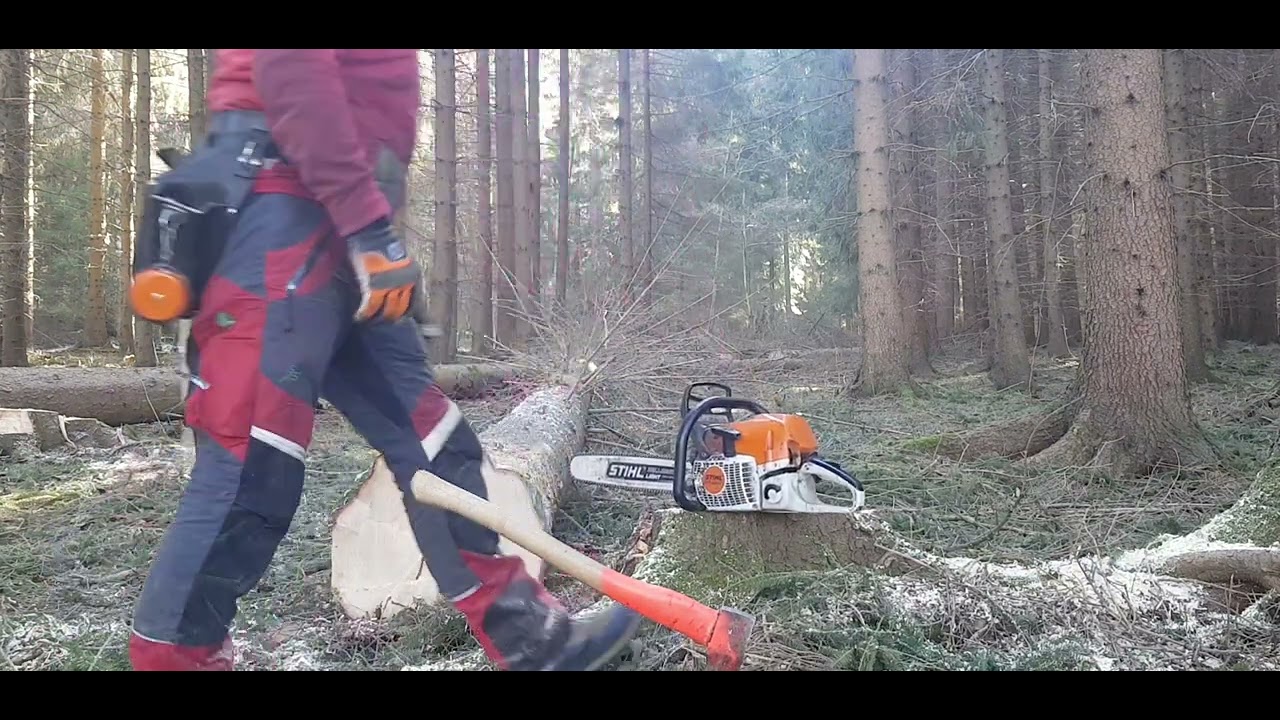 Práce v lese,work in forest stihl ms 400c