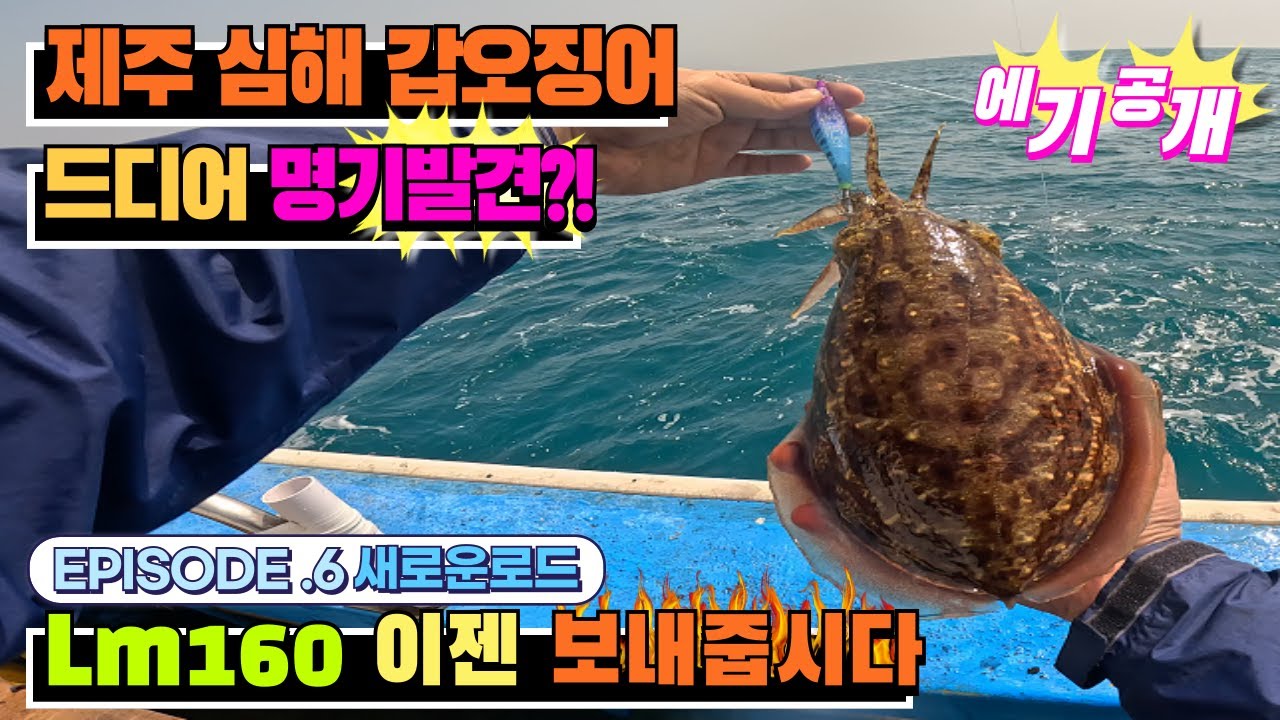 [4K] 심해 갑오징어 낚시 연질 낚시대 드디어 발견?? 샤크리에 좋은 삼봉에기까지!!