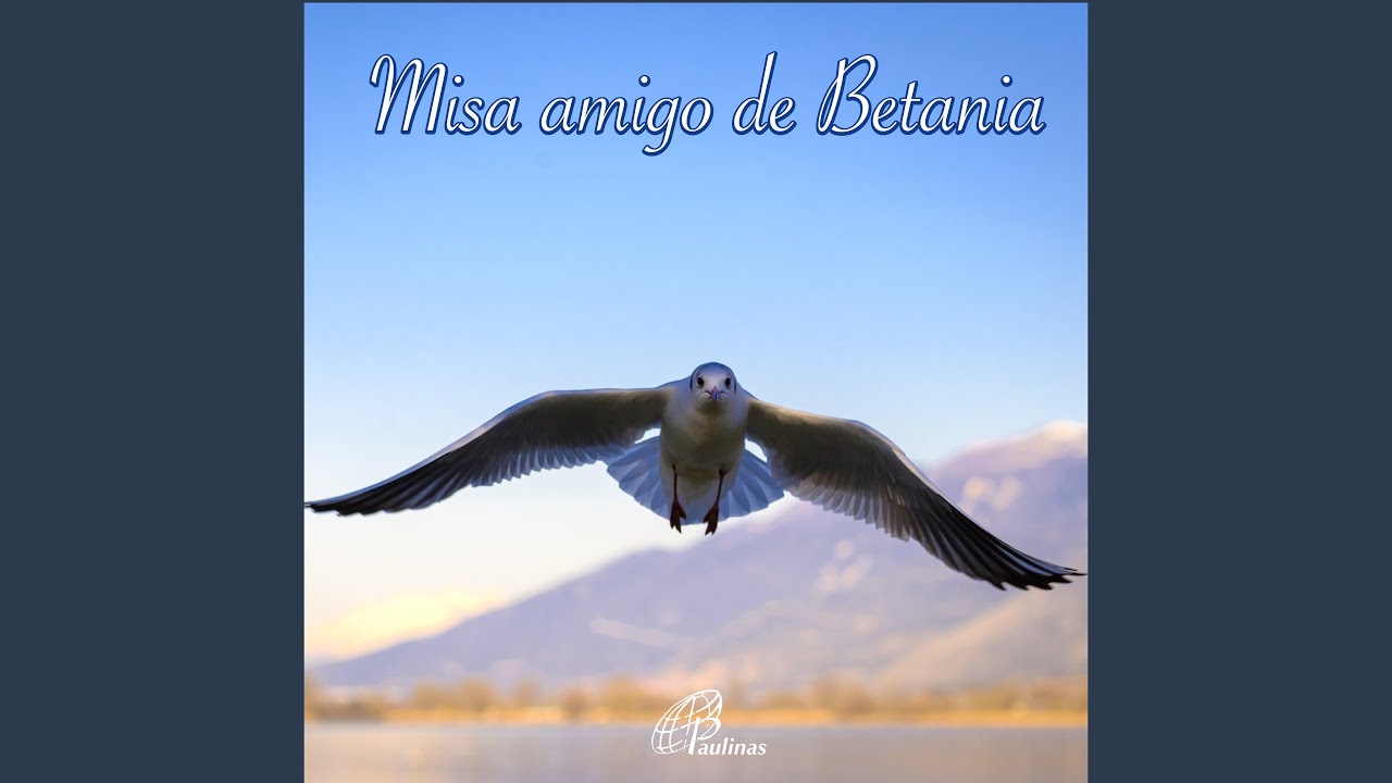 Instrumento De Paz