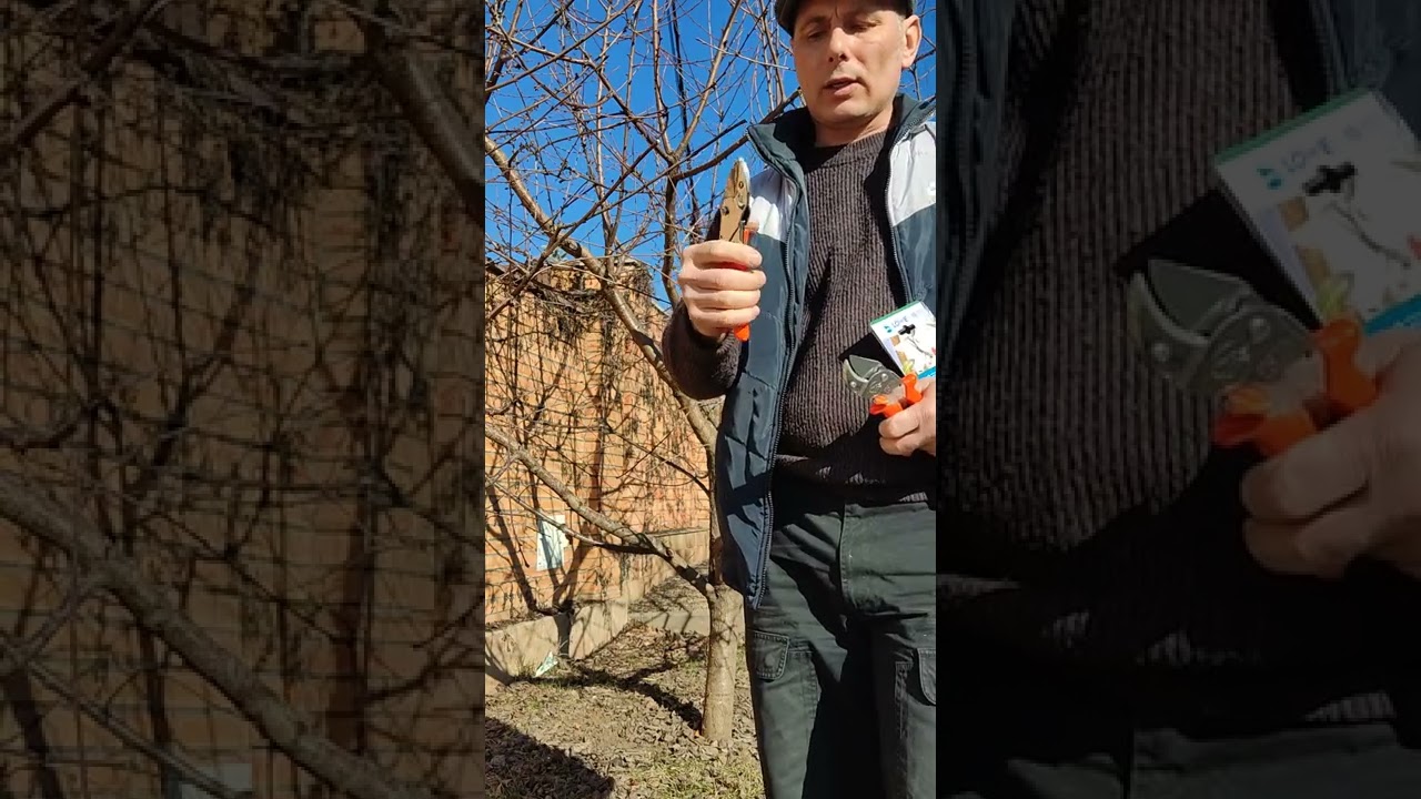 Секатор LÖWE 10.107