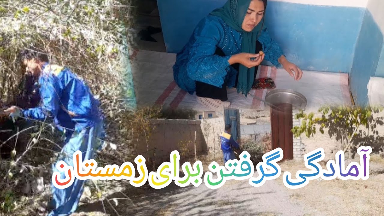 عزیزا با آتی امیر حسین ریی شدیم سر زمینا برای زمستان چوب سنجید بیاریم 