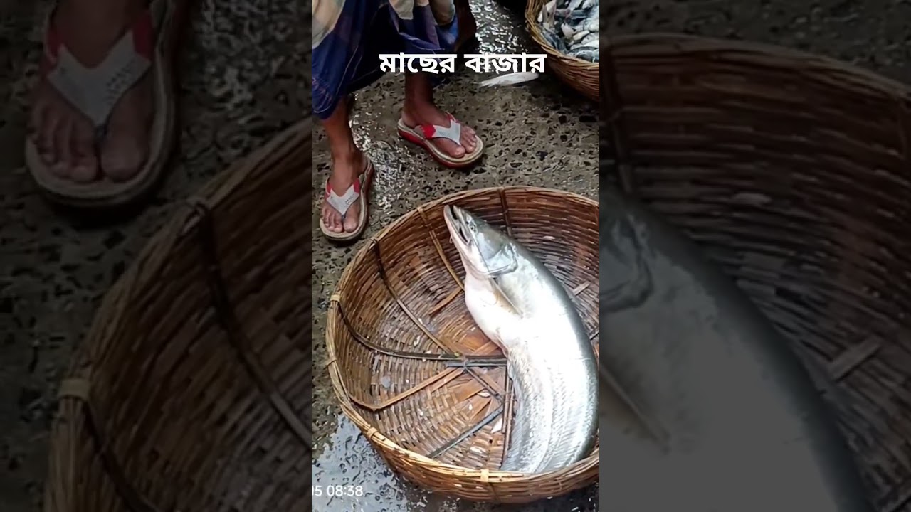 মাছের বাজার 