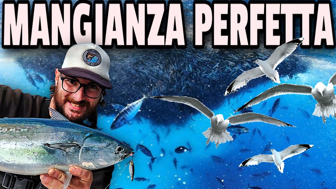 Mangianze a Genova - Pesca in Barca al Tonno, Tombarello e Alletterato (4K)