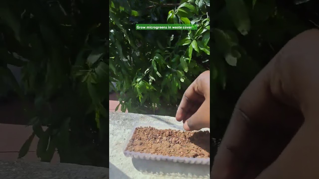 🌱 