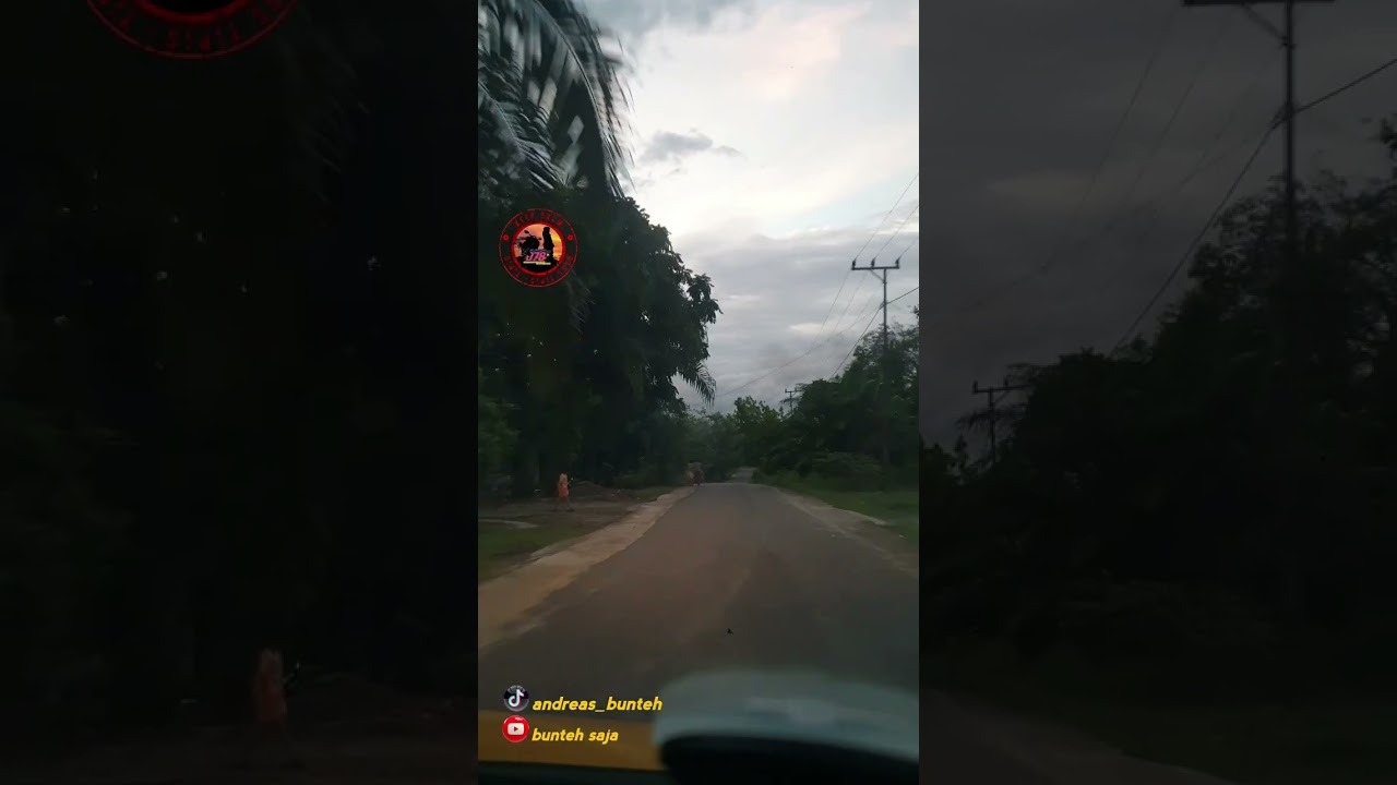 Edisi #jalanjalan melewati #desa Runggu Raya,kec.Paku,with #toyota #agya ,#hutan #kalimantan #borneo
