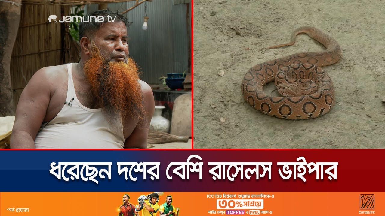 চার দশক ধরে রাসেলস ভাইপার সাপ ধরে বেড়ান এই ওঝা | Snake charmer | Russell's Viper | Jamuna TV
